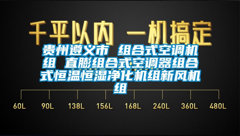 貴州遵義市 組合式空調機組 直膨組合式空調器組合式恒溫恒濕淨化機組新風機組