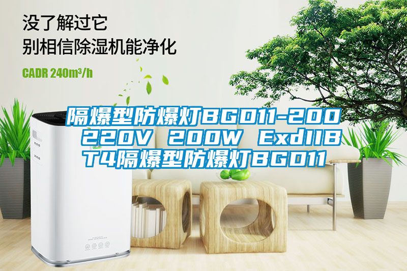 隔爆型防爆燈BGD11-200 220V 200W ExdIIBT4隔爆型防爆燈BGD11