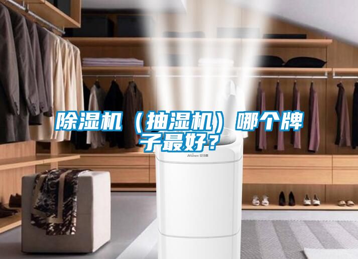 草莓视频下载网址（抽濕機）哪個牌子最好？