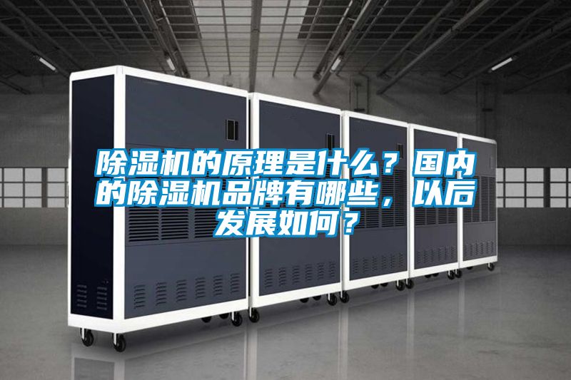 草莓视频下载网址的原理是什麽？國內的草莓视频下载网址品牌有哪些，以後發展如何？