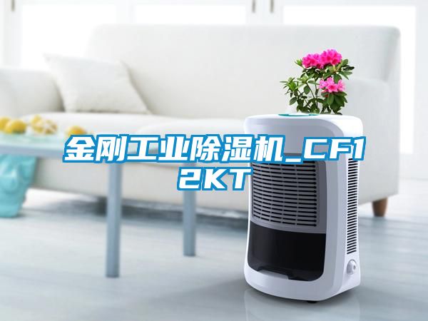 金剛工業草莓视频下载网址_CF12KT