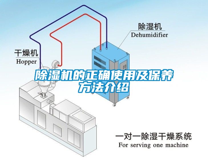 草莓视频下载网址的正確使用及保養方法介紹