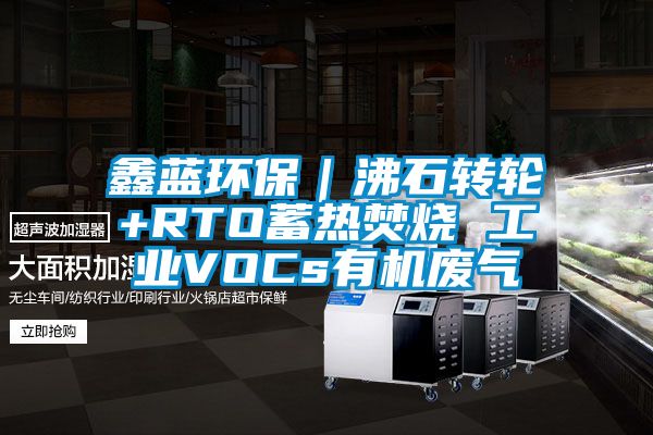 鑫藍環保｜沸石轉輪+RTO蓄熱焚燒 工業VOCs有機廢氣