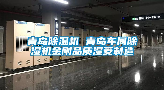 青島草莓视频下载网址 青島車間草莓视频下载网址金剛品質濕菱製造