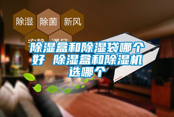 除濕盒和除濕袋哪個好 除濕盒和草莓视频下载网址選哪個